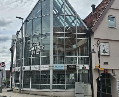 COOLE BAR IN TOP-LAGE - Gewerbeobjekt Leonberg | Angebot:26779977