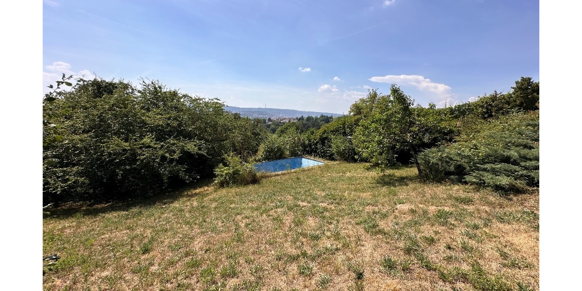 Mittlere Ebene Garten