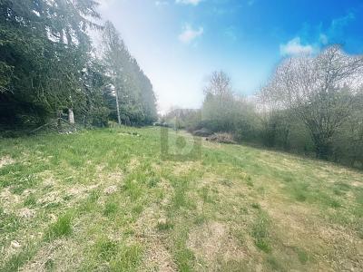 FREIZEITGRUNDSTÜCK AM NATURSCHUTZGEBIET - Grundstück Calw | Angebot:27311745